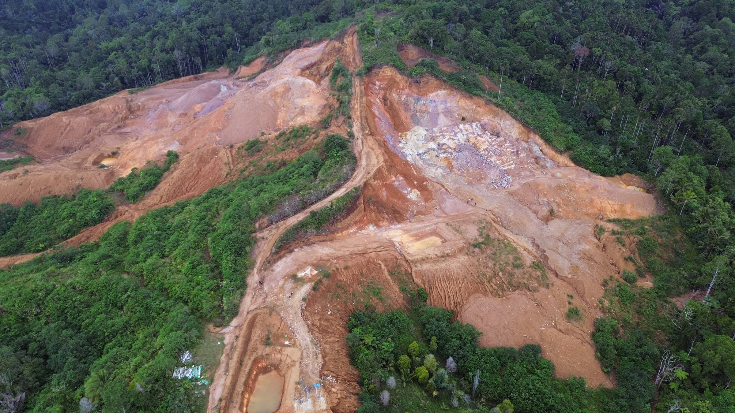 Disturbed ground and forest in the Banga landscape